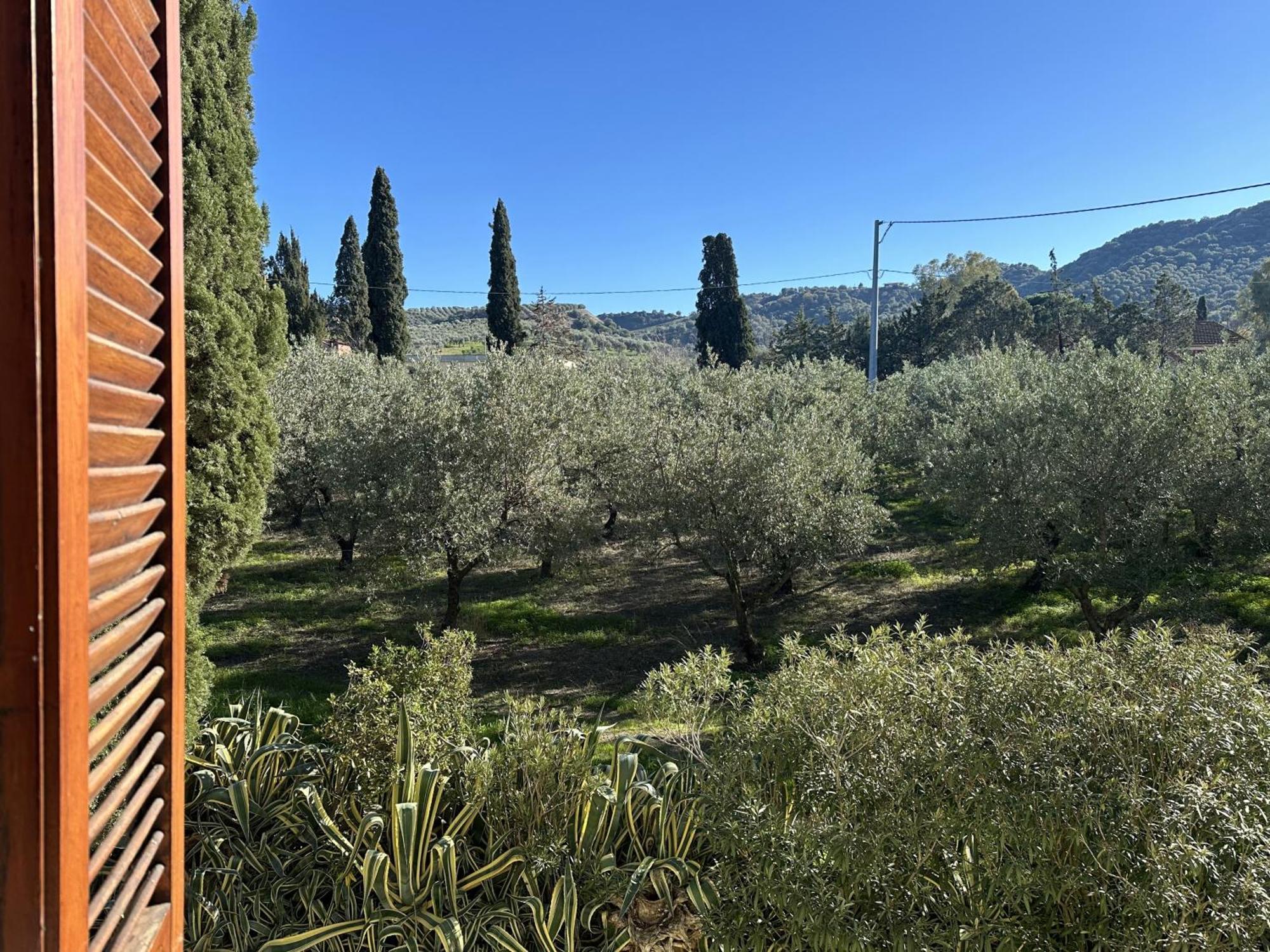 Agriturismo Tenuta Feraudo Labonia Exterior photo